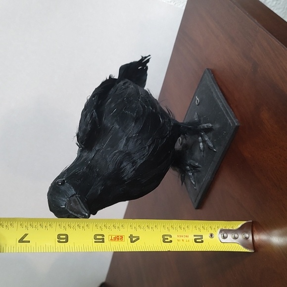 Black Raven Crow Sculpture Real Feathers Bird Halloween Decor Movie Set Prop - Picture 14 of 14